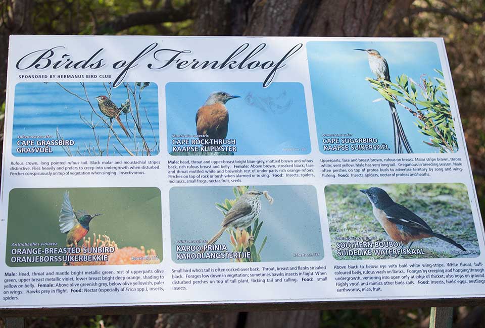 Fernkloof Reserve Signage